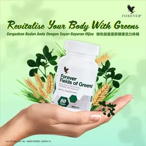 Forever Living Forever Fields of Greens Edible Fitness Supplement for Healthier Lifestyle with Barely Grass Wheat Grass & Alfalfa for Nutrients Antioxidants and Energy Boost - Muscle