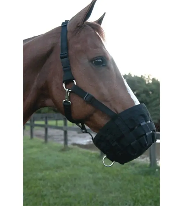 Jacks 160-H Web Muzzle - Horse