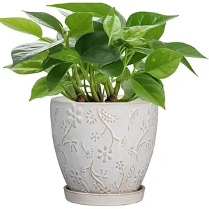 6 Inch Ceramic  Pot for Indoor  Outdoor Round Planter Flower Pot with Drainage Hole and Saucer for Home Garden Office Decor White