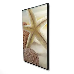 Begin Home Decor 2081-4824-CO42 24 x 48 in. Starfish & Seashells Canvas - Contemporary Blue Framed Art