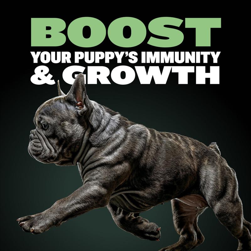 Bully Max 24/14 High Protein & Growth Puppy Food 419 Calories Per Cup with TruMune for Immune Health and Development, For All Breeds of Dogs Bully Max 24/14 High Protein & Growth Puppy Food 419 Calories Per Cup with TruMune for Immune Health and Development, For All Breeds of Dogs