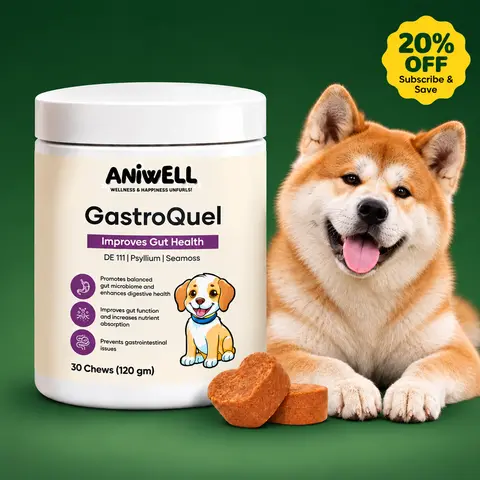 Aniwell GastroQuel For Dogs: A New Age Natural Solution for Gut Health, Diaerhea & Bowel Support