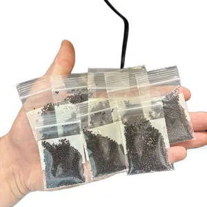 Flower & Plant Seeds : Cactus Seeds - 1+ ct.