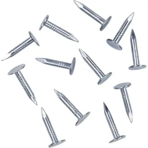 200pcs 0.75 Inch Steel Roofing Felt Nails, Broad Head Roofing Felt Pins Suitable for Shed Roof, Roofing Felt and Slate Boards
