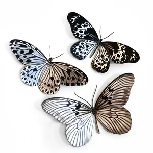 'Marble' Butterfly Set