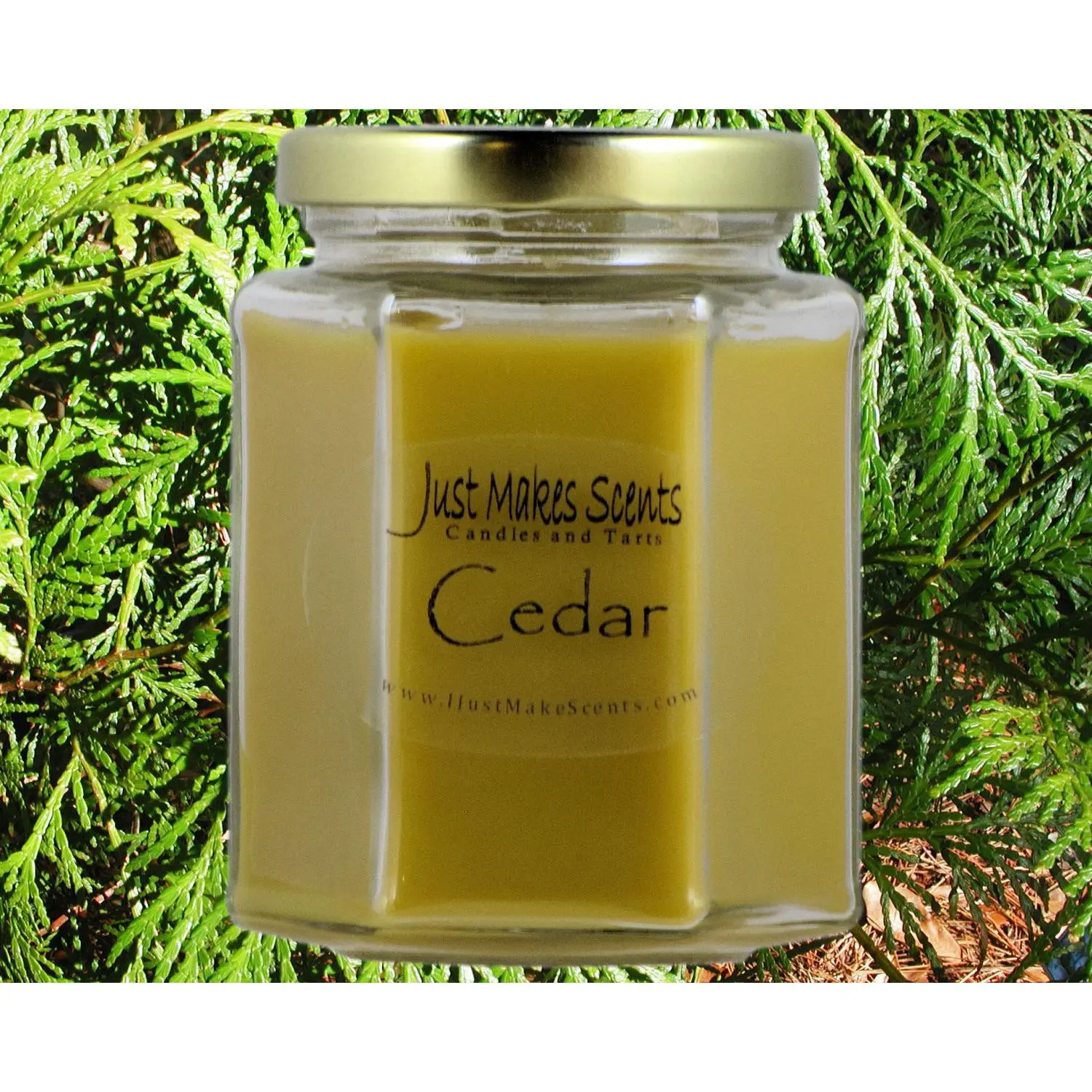 Cedar Scented Candle