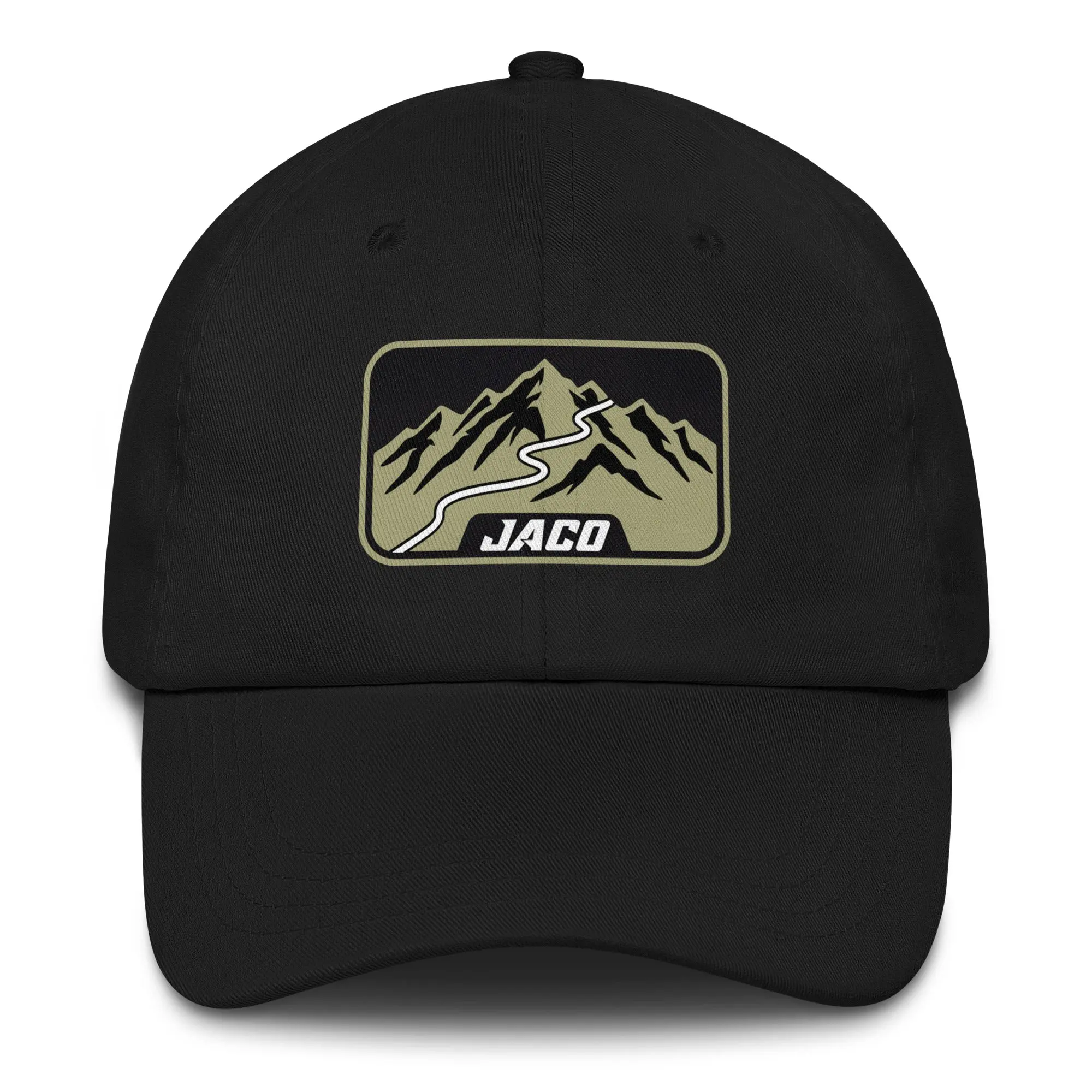 Switchback Baseball Hat