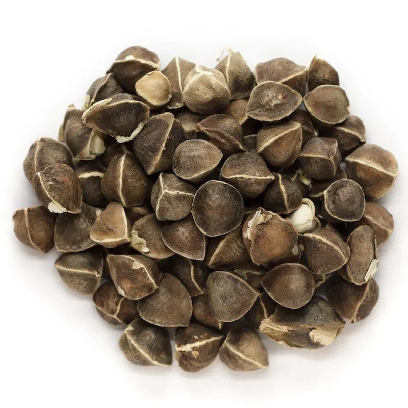 Moringa Oleifera Seeds 50Pcs – High Nutrient Value, Easy to Grow, Perfect for Backyard or Balcony Gardening