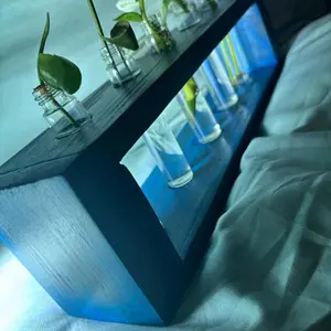 Propagation Station, test tubes included. Terrarium, Hydroponic, boho station. Shou Sugi Ban. Window sill, desktop, living room, kitchen decoration. seed starter bendable moss