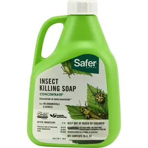 5118-6 Insect Killing Soap Concentrate - Insecticidal Soap for Plants - Kills Aphids, Whiteflies, Thrips, Spider Mites, and More - OMRI Listed for Organic Use