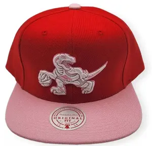 Mitchell & Ness NBA Toronto Raptors Sweetheart 2Tone Snapback HWC Raptors