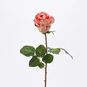 Real Touch Red Candy Cane Stripe English Pilgrim Rose Bloom Christmas Faux Floral Stem - 21"