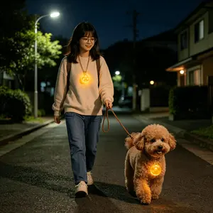 Super Bright Glow Dog Pendant Keep Your Dog Safe at Night Night Safety Glow Pendant for Dogs Never Lose Your Pet Again Waterproof Luminous Dog Collar Pendant Perfect for Night Walks