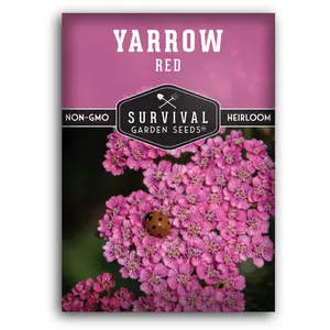 Red Yarrow Seeds - Non-GMO heirloom herb seeds