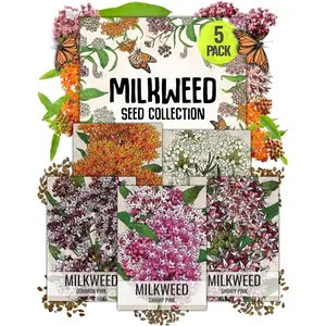 Milkweed Seed Packet Collection to Attract Monarch Butterflies (5 Individual Seed Varieties to Plant) Heirloom & Untreated Seeds