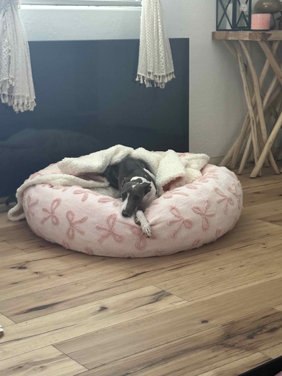 Item: Pink Taffy, L (36x36x10)