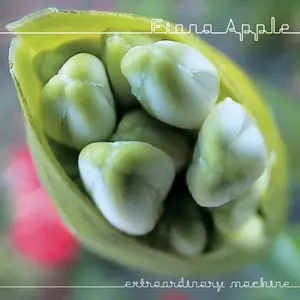 Fiona Apple - Extraordinary Machine  [COMPACT DISC - CD]