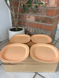 Set de 4 pz Platitos color salmon miden 20x20 cm Plates