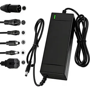 SGS Certified 54.6V 2A Fast Electric Bicycle Charger for 48V Ebike Battery - Fast Charging, Overcharge Protection, Compatible with Ecotric City/Beach, Lectric XP 2.0/3.0, Evercross H5/H7