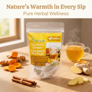 Turmeric Ginger Cinnamon Herbal Tea Bags | 60-Count Value Pack (2g Per Bag, Total Net 120g), 100% Natural Zero Additives, Sugar-Free, Caffeine-Free & Gluten-Free, Vegan Keto Friendly