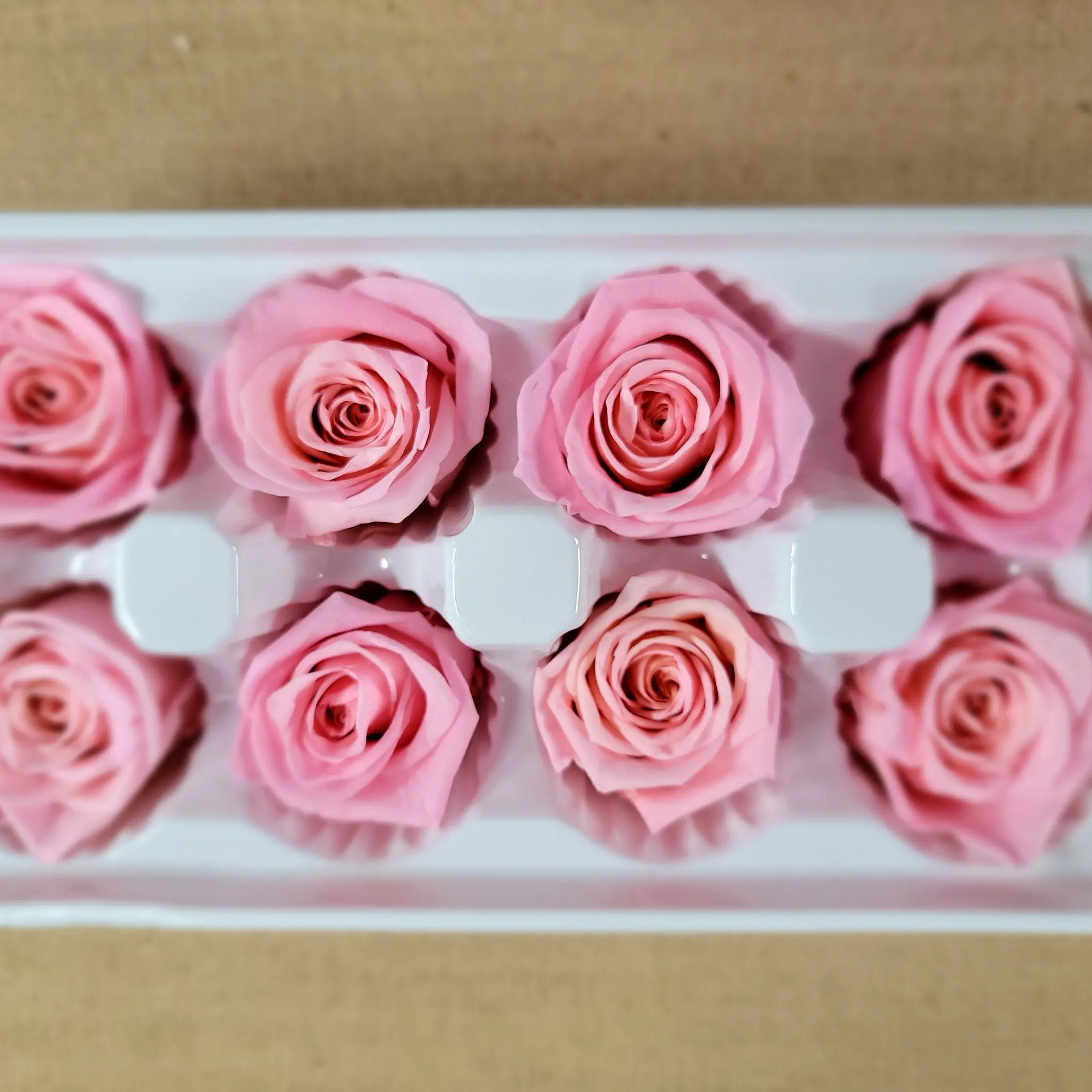 8 deep peach preserved roses wedding rose, Floral arrangements, boutonniere, preserved flowers, wedding decor
