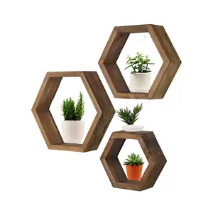 3 Hexagon Shelves - Honeycomb shelves - Geodesic Shelves -Hexagon Shelf - Hexagon Shelves - honeycomb shelf - floating shelf
