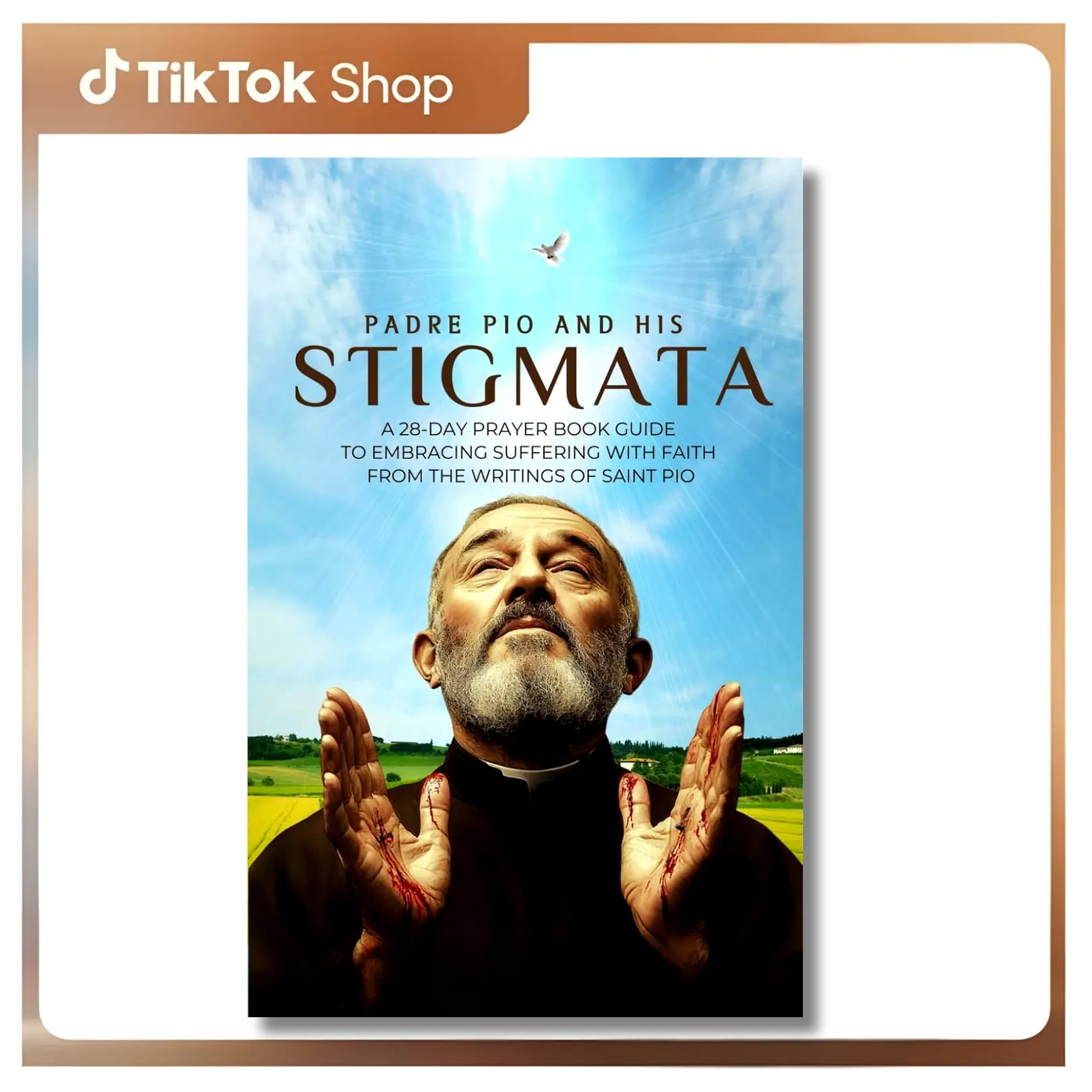 Padre Pio and His Stigmata: A 28-Day Prayer Book Guide to Embracing Suffering with Faith from Saint Pio's Writings - Michael Fide - Paperback English Book, Paperback Book