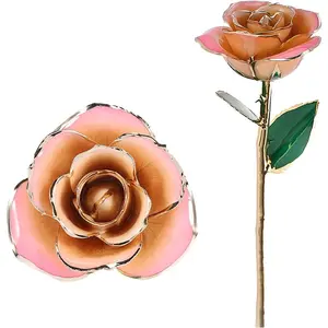 Gold Dipped Rose Handcrafted Real Preserved Rose 24k Gold Forever Long Stem Dipped Rose Elegant Gift for Young Girl White Pink