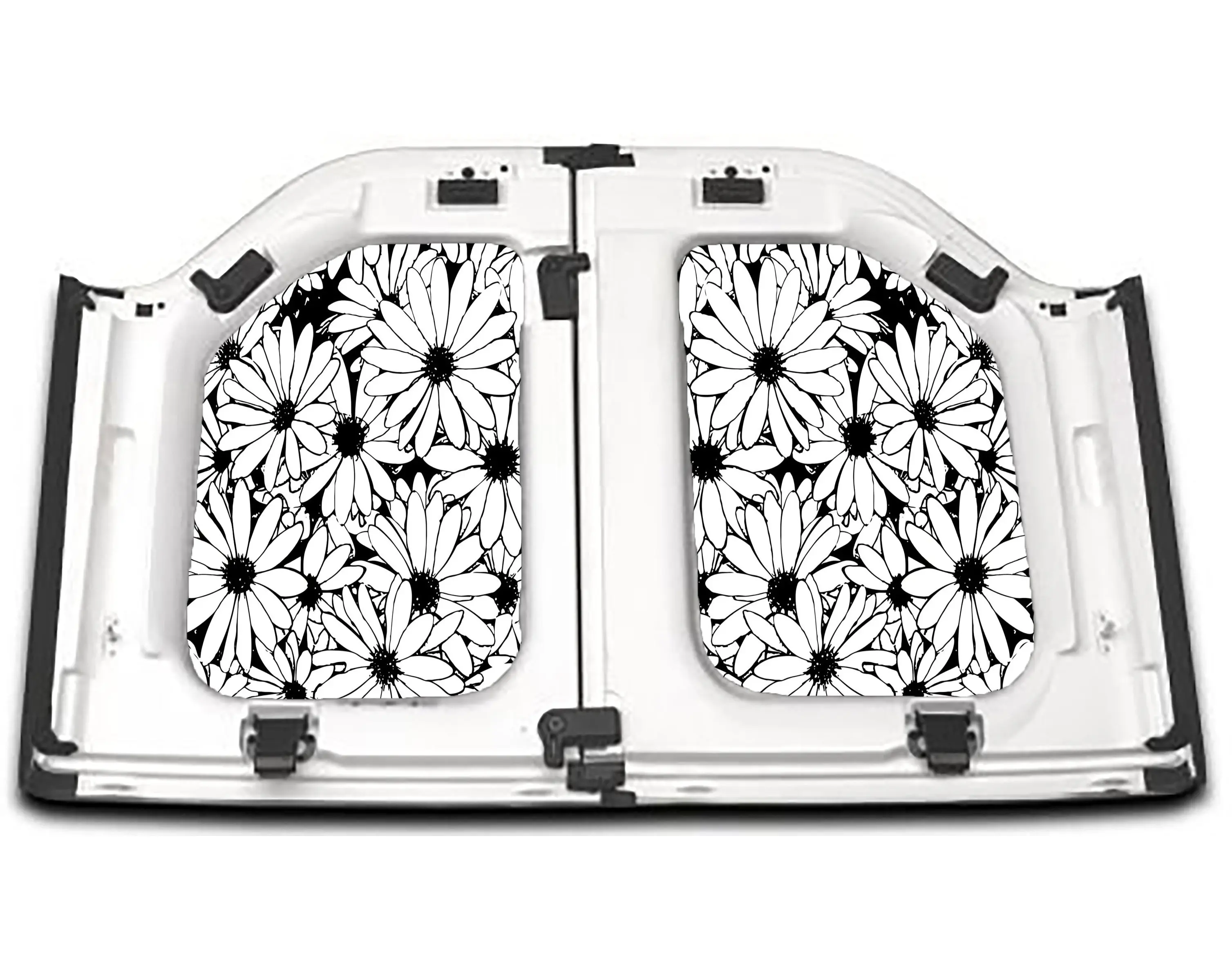 Daisies