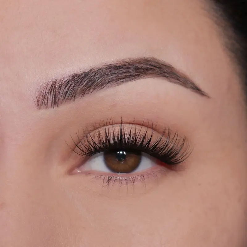 Classic self adhesive lash only