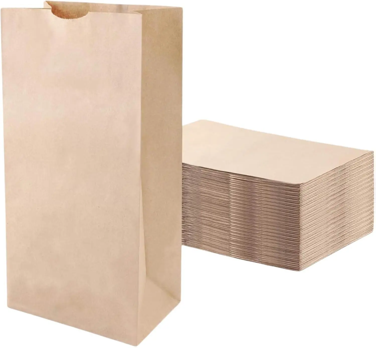 Brown Bag 2-100 count, 2lb Brown Paper Bags - Brown Bags - 100 count (Pack of 1)