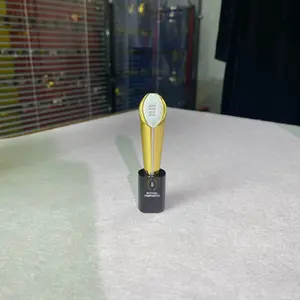 American University Football Legend Trophy (Check Specs Before Order), Fan Display Piece, Memorial Gift for Soccer Lovers, Elegant Desktop Decoration