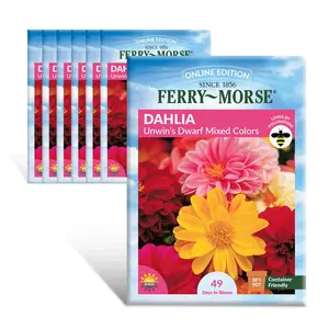 Ferry-Morse Online Edition Dahlia Unwin's Dwarf Mixed Colors Seed Multipack - 7 Pack