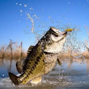 Whopper 5/6/10 Pcs Top Water Fishing Lure Kit with Floating Rotating Tail Barb Treble Hooks for Bass & Pike in Saltwater Freshwater Plopping Lures Kit Luminous Biomimetic Shrimp Soft Bait for Sea Fishing Ideal Gift for Parties