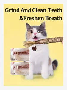 4/6 Piece Natural Silver Vine Stick Cat Toys, Pet Herb Silver Vine Mix Sticks, Kitten Chew Toys for Teeth Cleaning, Cat Dental Care, Expendable Kitten Licking Toys outdoorfun