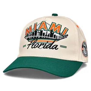 Miami The U Snapback Hat, Retro Skyline Hurricanes Green Cap, Vintage Five Panel High Crown Hat, Embroidered College Football Streetwear, Trendy Adjustable Snapback Gift