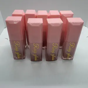 Lip Gloss - Pink Packaging, Multiple Units, No Additional Features