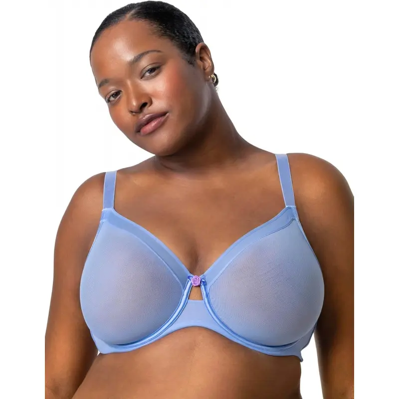 Women's Sheer Unlined Underwire Plunge Bra 2026 - Minimalist Basic Garment, Soft Comfortable Breathable Fitted Clothes, Quality Fabric Crantastic Piece for Everyday Casual Wear