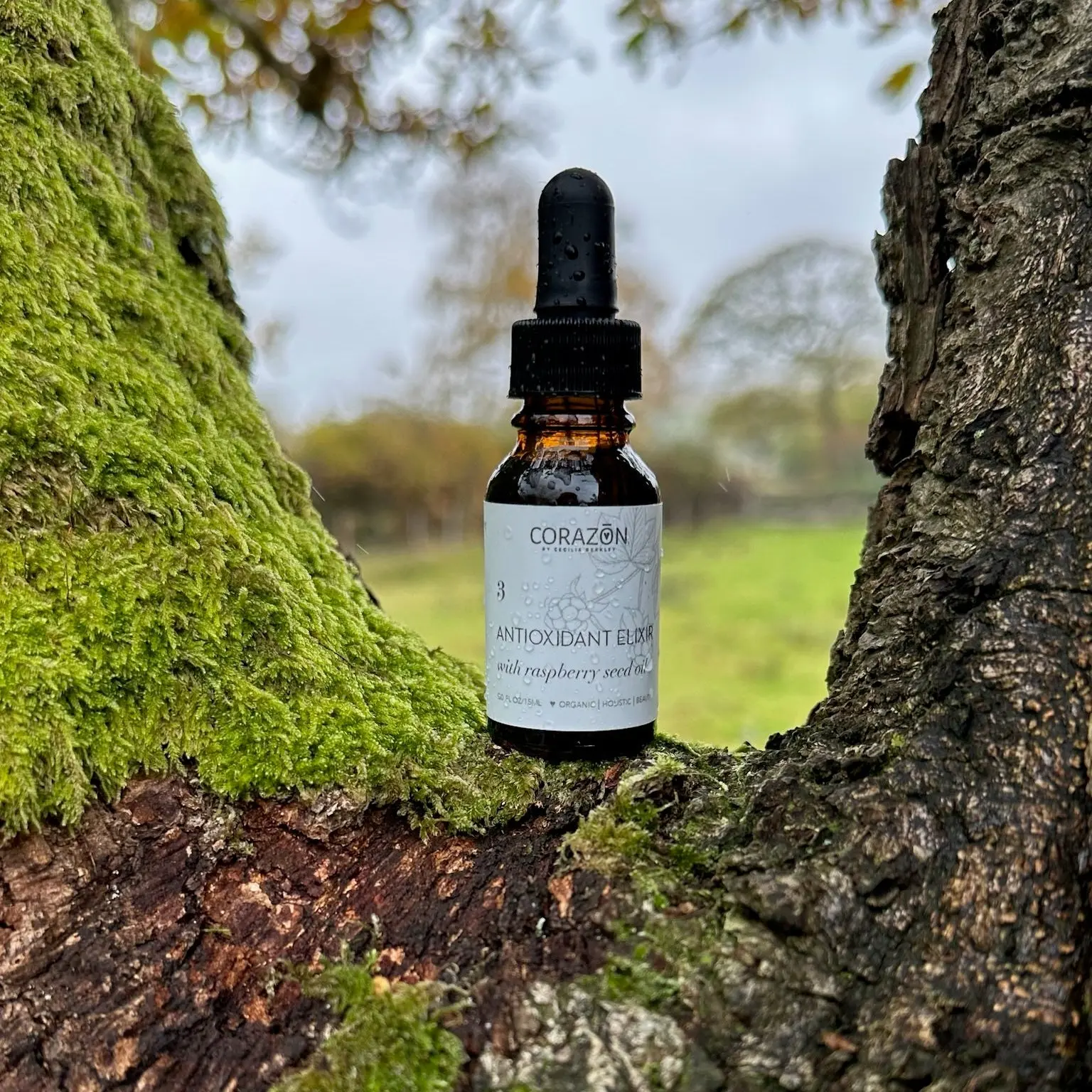 Antioxidant Elixir Oil