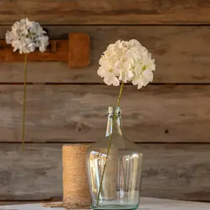 Hydrangea Stem