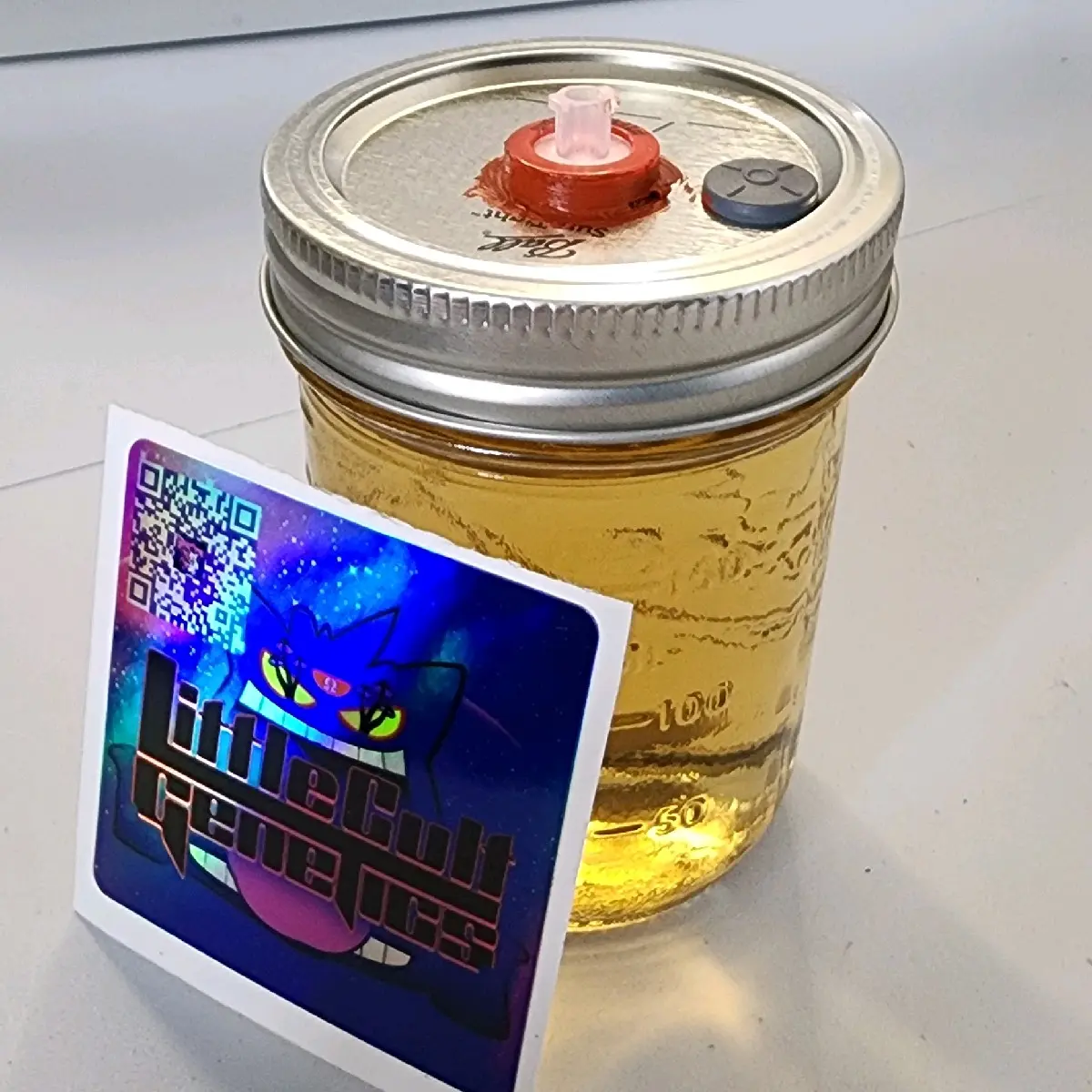 Liquid culture medium 1/2 pint presterile modified jar and marble