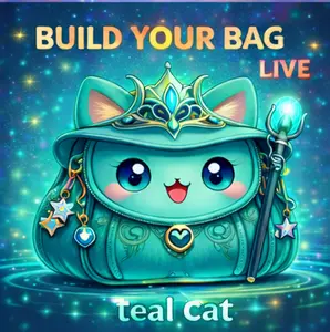 Build-a-Bag - Custom amount - Teal Cat Satchel - With Bonus Cash - You Pick - Articulated figures - Fidgets
