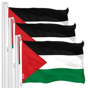 Palestine Palestinian Flag 3x5 Ft 3-Pack 150D Printed Polyester By G128