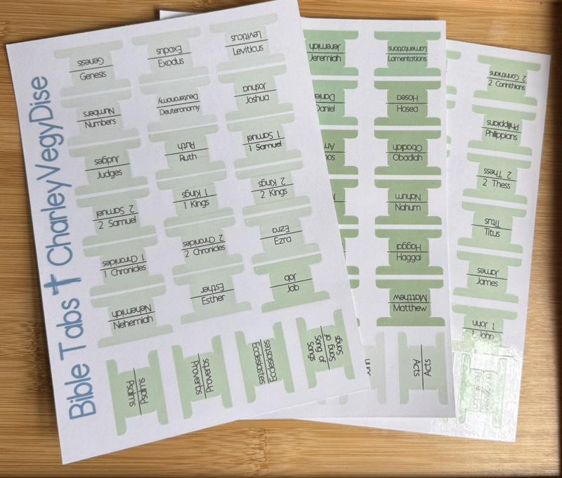 Bible study kit with reading tracker