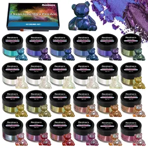 Resiners 24 Colors Chameleon Mica Powder Set 0.1oz 3g Bottle