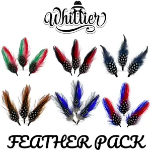 3 Feather Pack Stetson Lowrider Fedora Pachuco Cowboy Hat 4 Inch Hatband Feathers