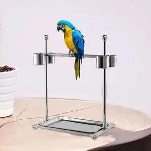 Colourtree Large Bird Playstand Heavy Duty Stainless Steel Parrot Gym Floor Stand for Pet Birds Durable & Multifunctional Training Cage