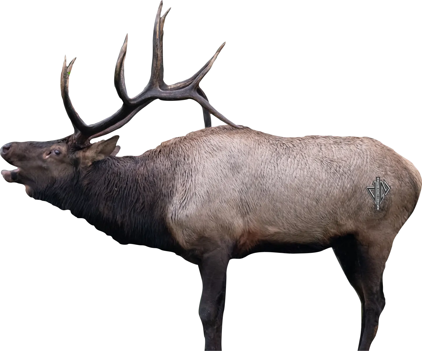 2D Bull Elk Broadside Target