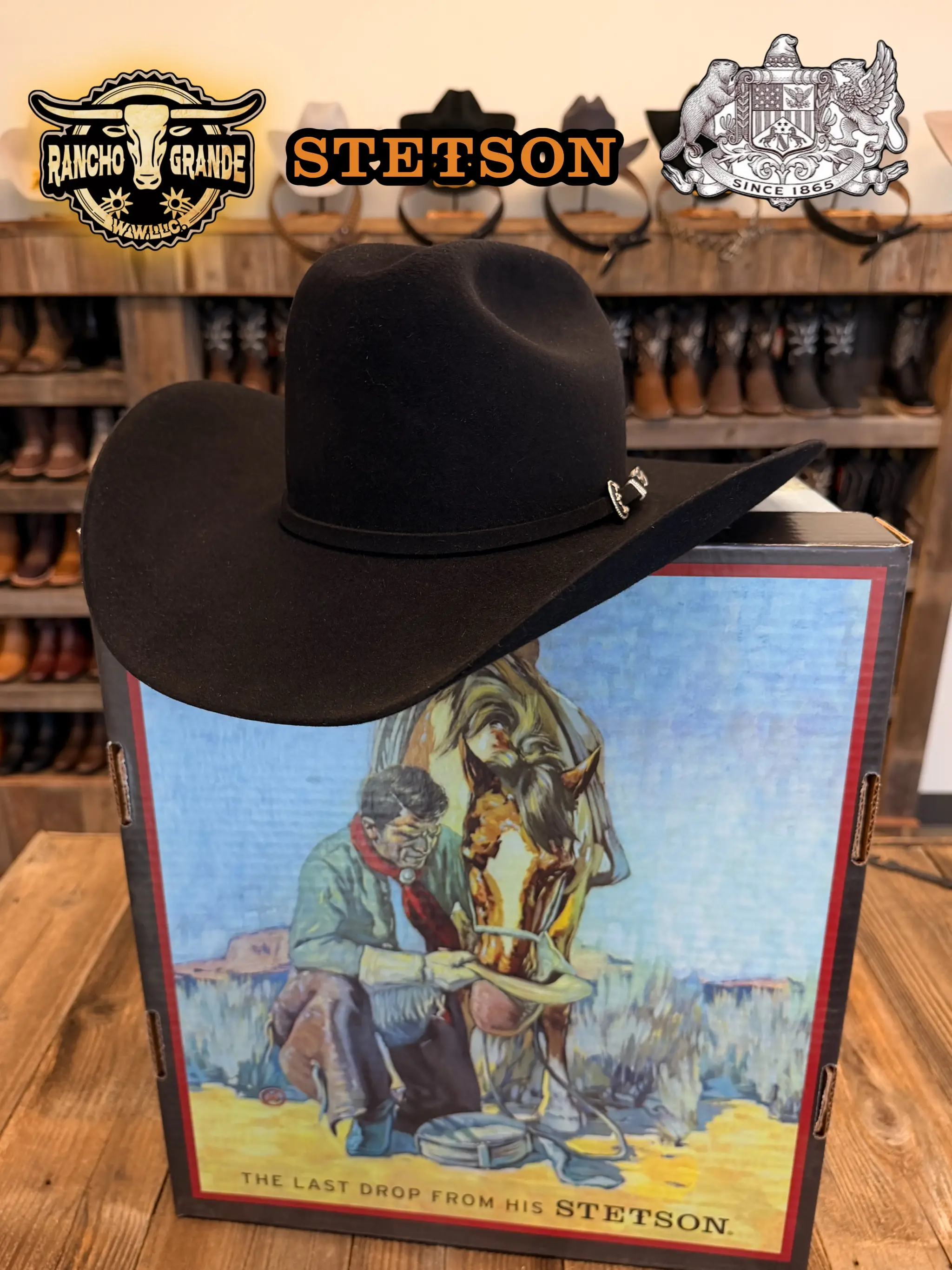 ORIGINAL 6X STETSON HAT SKYLINE / TEJANA 6X STETSON