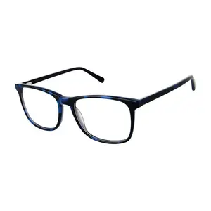 Aristar AR18658 Eyeglasses